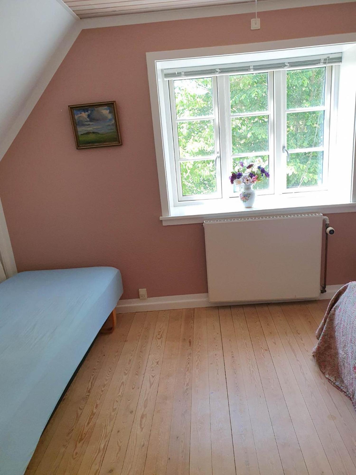 Pegasus Bed & Breakfast Hillerød Extérieur photo